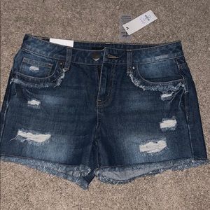 Brand new with tag shorts!!
